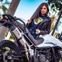 Escape compatible con Triumph Tiger 900 2020-2023, GP Evo4 Titanium, Escape legal, homologado, silenciador con db killer desmontable y tubo de conexión específico 